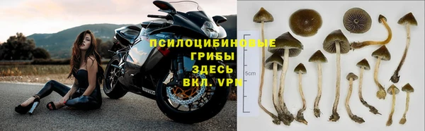 шишки Абинск