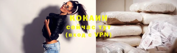 шишки Абинск