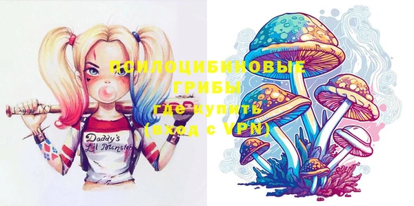 шишки Абинск
